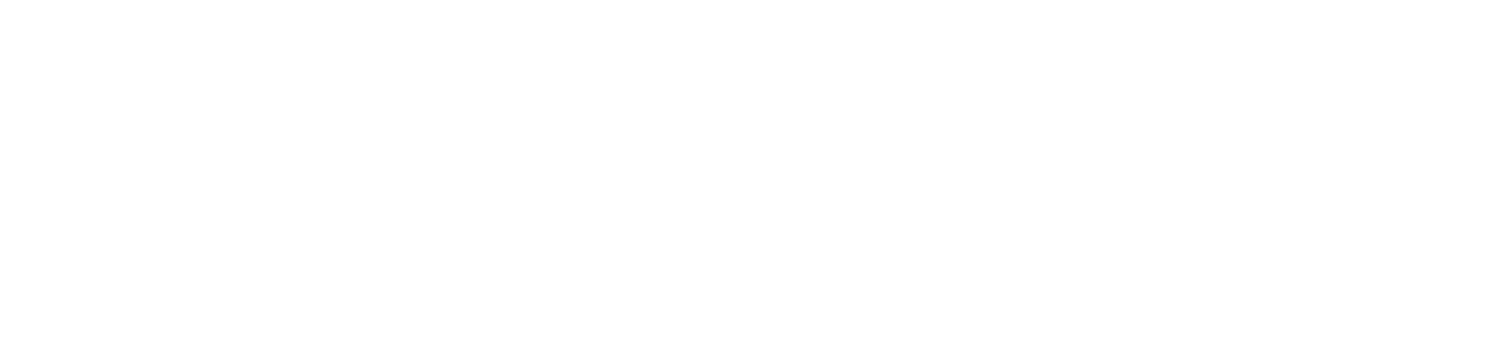 NZ Government