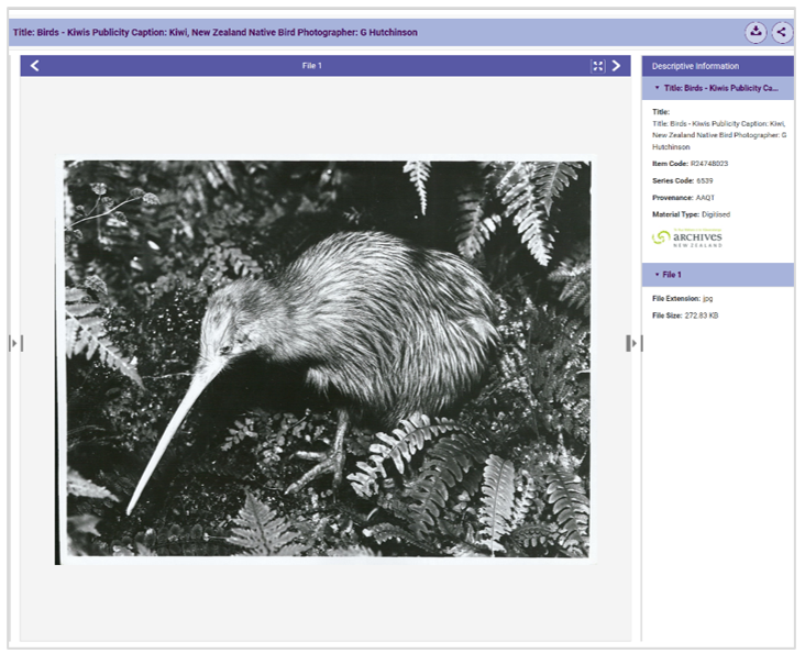 Digital viewer displaying a black-and-white photograph of a kiwi bird standing among ferns. The viewer header shows the title “Birds – Kiwis Publicity Caption: Kiwi, New Zealand Native Bird Photographer: G Hutchinson.” On the right panel, descriptive information includes item code R24748023, series code 6539, provenance AADT, material type digitized, file extension .jpg, and file size 272.03 KB.